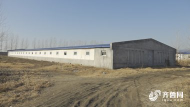 「养殖场」 问政追踪｜有经验想养猪但没有地 鄄城畜牧部门：尽