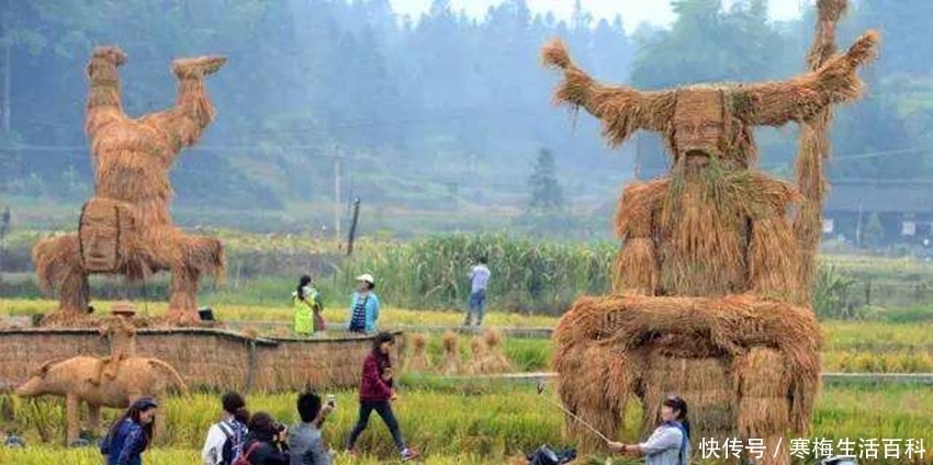  迎来：农村将迎来“两点变化”，同时带来“两个商机”，农民可