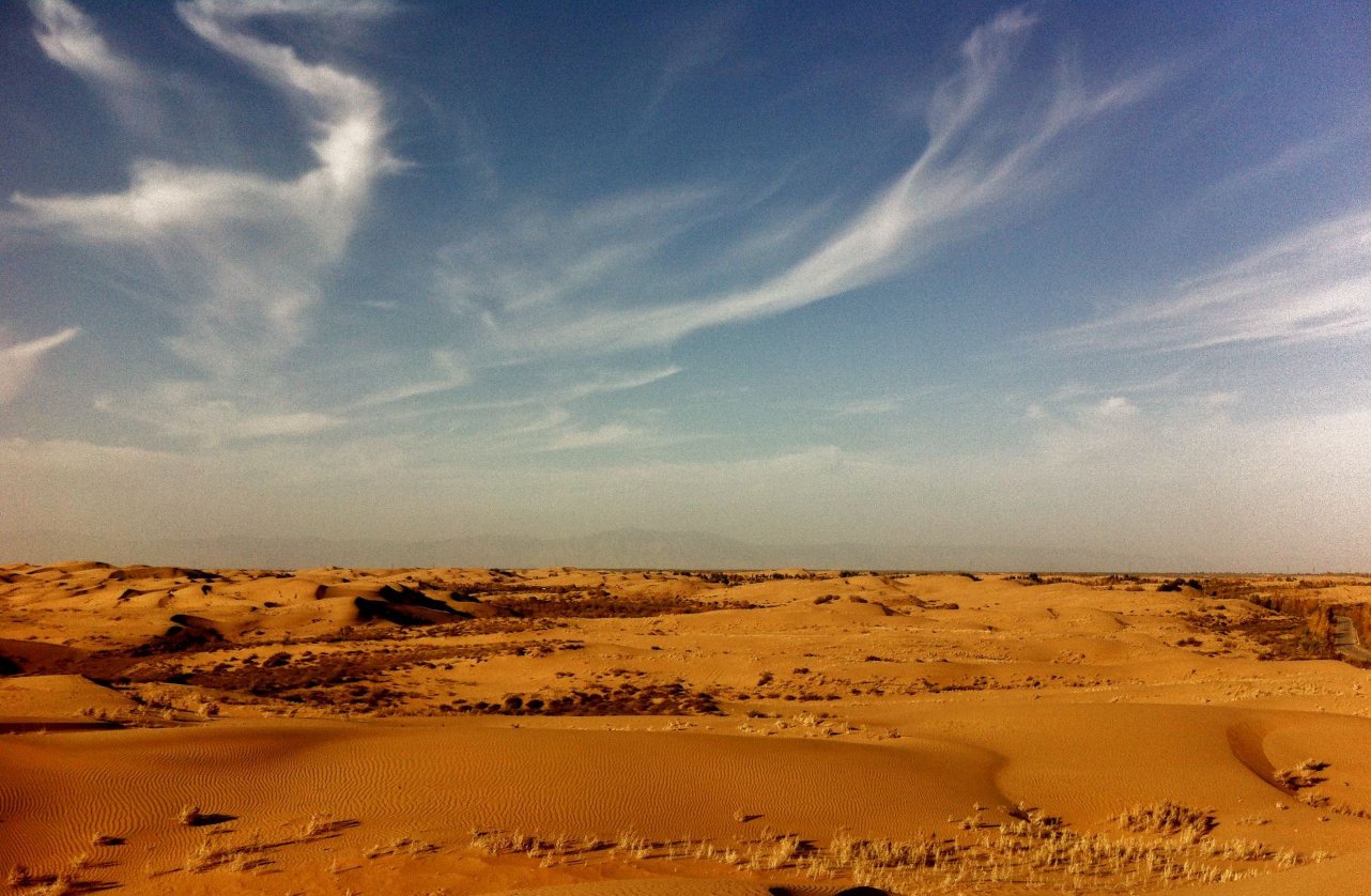 全球唯一“沙漠变绿州”的地方！中国人又创一奇迹，让世界赞叹