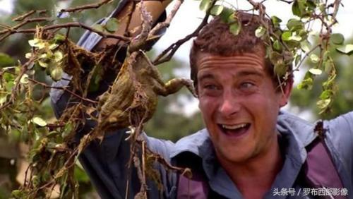 直击“食物链顶端的男人”贝尔最罕见的照片,曾破世界纪录