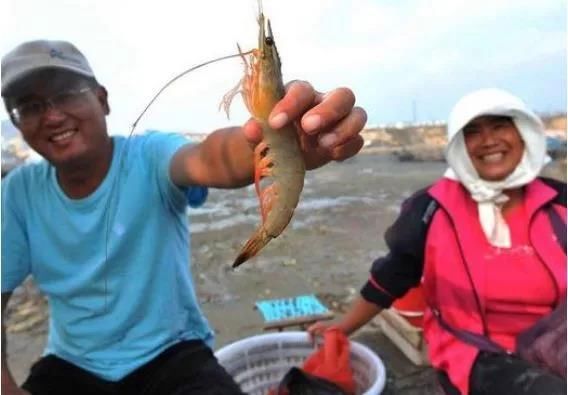 中国最欢迎的沿海城市前三，第一充满浪漫文艺