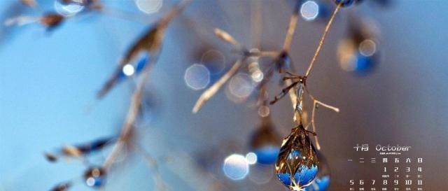 寒露节气，秋意正浓