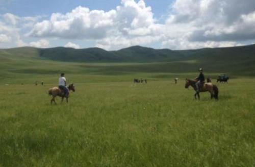  「树木」为什么大草原上的“草”长得很茂盛，却很少看见长树的