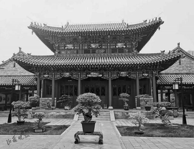  『盆中』“山林美景盆中盛”省城迎泽公园盆景展等你来赏