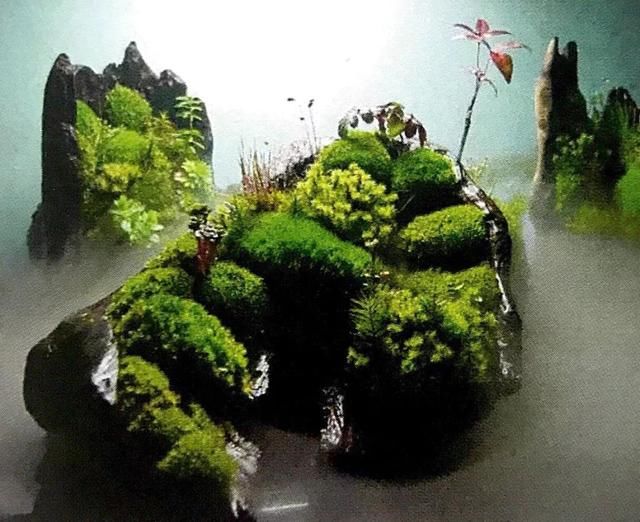 春色不仅在田野里，也可以刻在你家玻璃缸内的苔藓景观缸中！