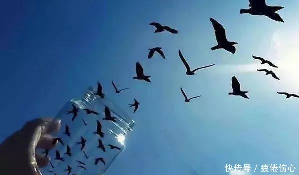 一组错觉照片证明眼见不一定为实！