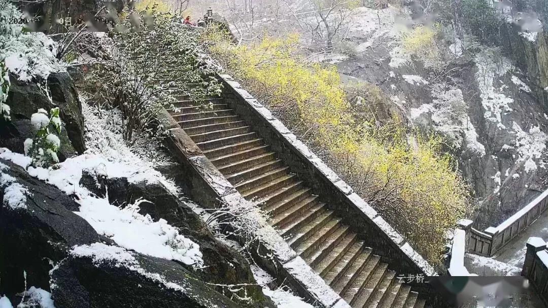  『岱宗』春雪空濛落岱宗，最美人间四月天