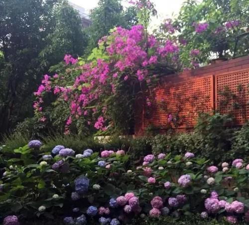 #小别墅#48㎡奇葩小户型,男主不仅整了小院,还设计出2室小别墅的既视感