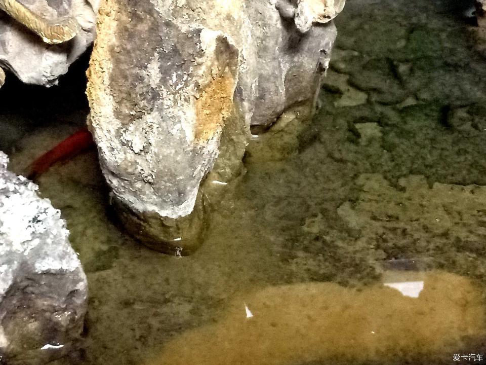 小山水盆景里的大千世界