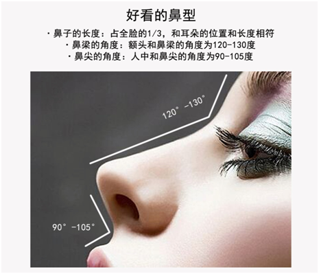 金多严院长解答什么样的鼻子最好看
