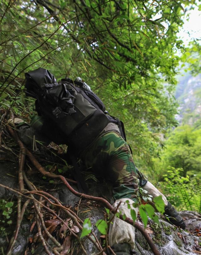 告诉你一个事实千万不要惊讶 距离成都百公里有个“非洲丛林”！