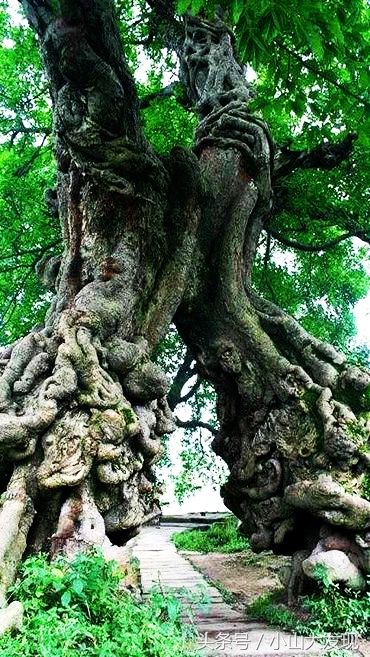 14处你没见过的景观“上帝之眼，鲨鱼砸屋顶，如来神掌”壮观!