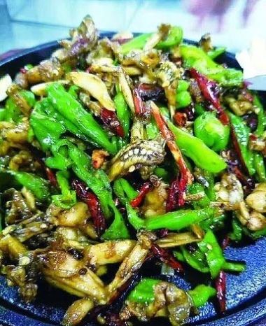 举报：开明市场有人“明目张胆”卖青蛙？！监管部门：没事