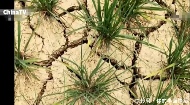 湖北持续高温天气 已有500多万人受灾 经济损失30亿余元