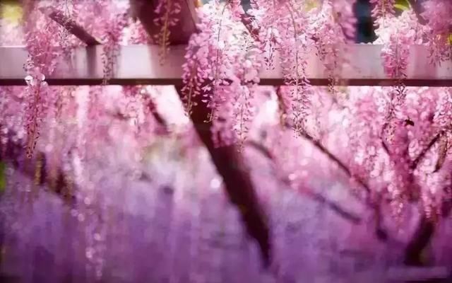 这个少有人知的地方，比乌镇更有韵味，不去就太遗憾了……