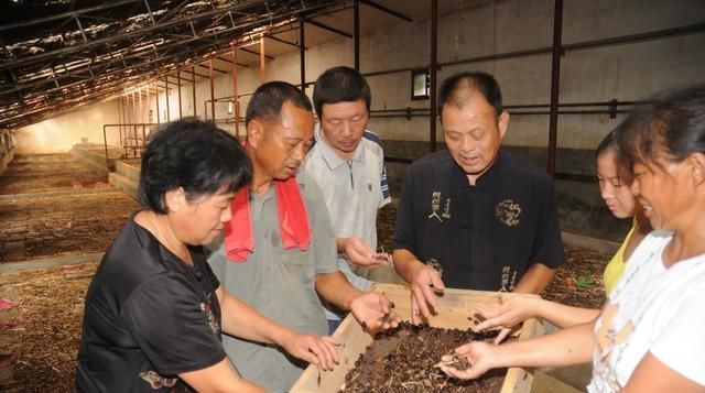  金钱龟@这三个养殖项目，有钱也不要投资，否则哭都没地哭