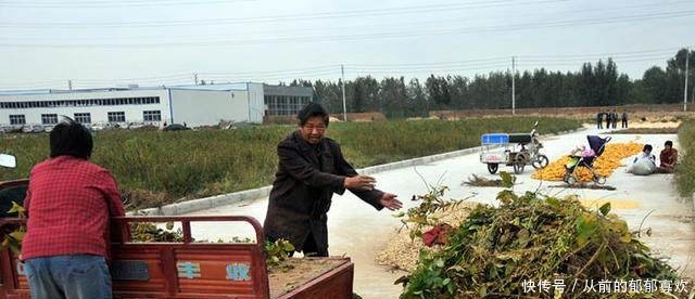 好消息这三种农民，60岁退休后每月能领上千元的养老金