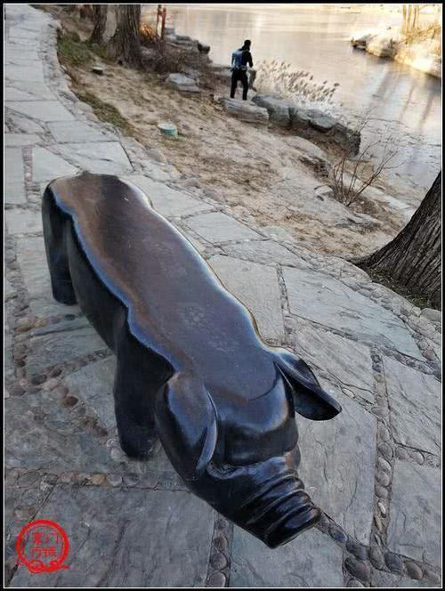 北京市内唯一一座具有田园风光的山村野趣公园，四头猪在路旁应景