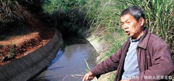 农村老话说“一把猪粪一把粮食”，为什么养殖却有污染呢