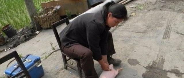  「猪崽」农村走街串巷劁猪的行业消失了，那现在养猪都怎么做？