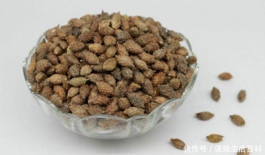  【一身】农村常见的植物，碰一下沾一身，90后都玩过，如今市场