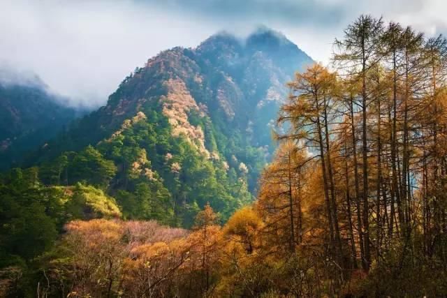 它只是雅安的一个县，却几乎包揽了川西美景!离德阳仅4小时!