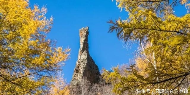 呼伦贝尔的秋天,美的太高级