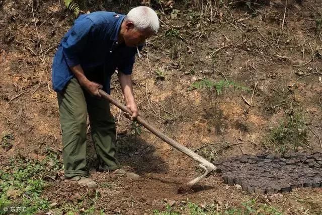 农村“争地边”现象为啥少了？