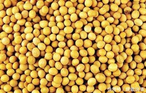  「农民」“中国粮食不够吃，农民不种就麻烦”，袁隆平的话振聋