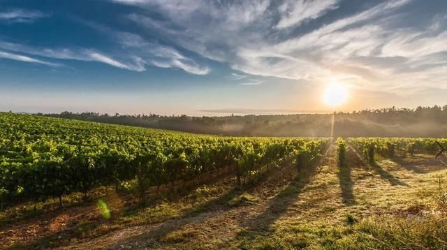 农村户口的注意！每平米24.5元！这些人要交钱了