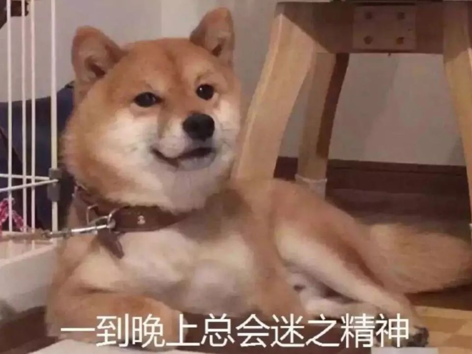 露脚踝过时了?今年秋天露袜子才是真时髦!