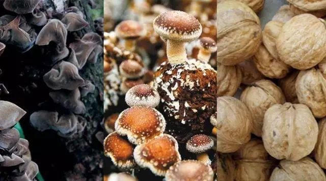 秦岭深藏敢与九寨沟媲美的地方！有条惊艳的自驾公路