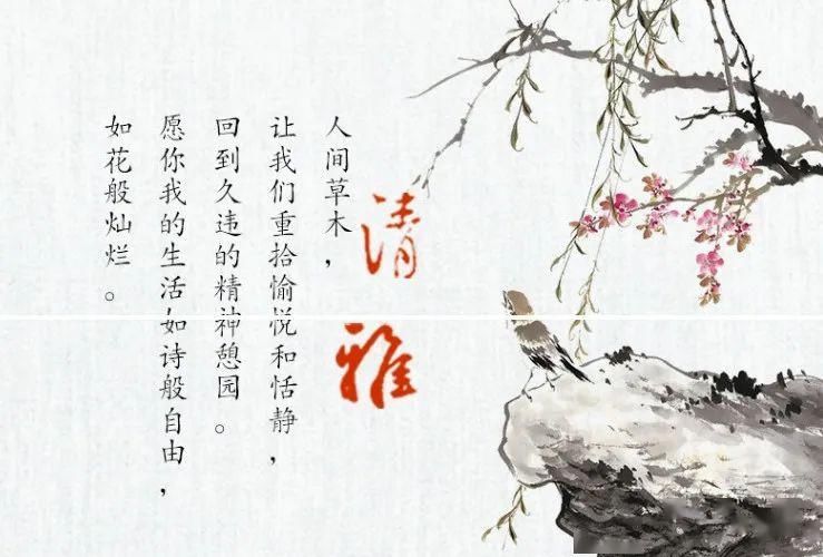  「栀子花」开卷有益 | 人间草木诗意情怀