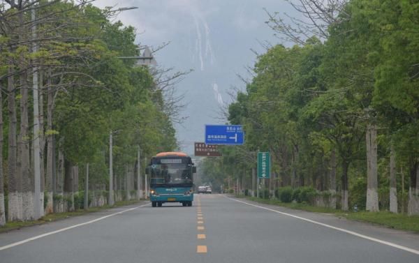  公交线路■广州增城 票运分离 公交惠民