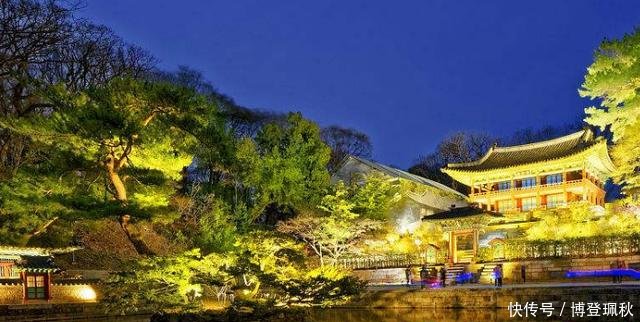 韩国游客来中国旅行，回国后，直呼那里的人太“傻”了