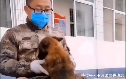 『主人』暖心警队养丢失狗狗,并为其寻找主人