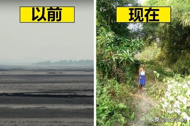 一人花费40年时间把沙漠变成森林，这证明了我们的地球仍有希望