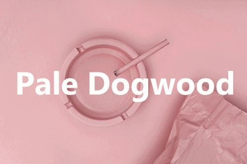 显土还是装嫩?粉色这么穿绝对不踩坑!