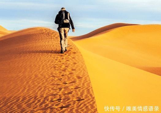 全球最大治沙工程40年治沙5000万亩，改变半个中国命运！