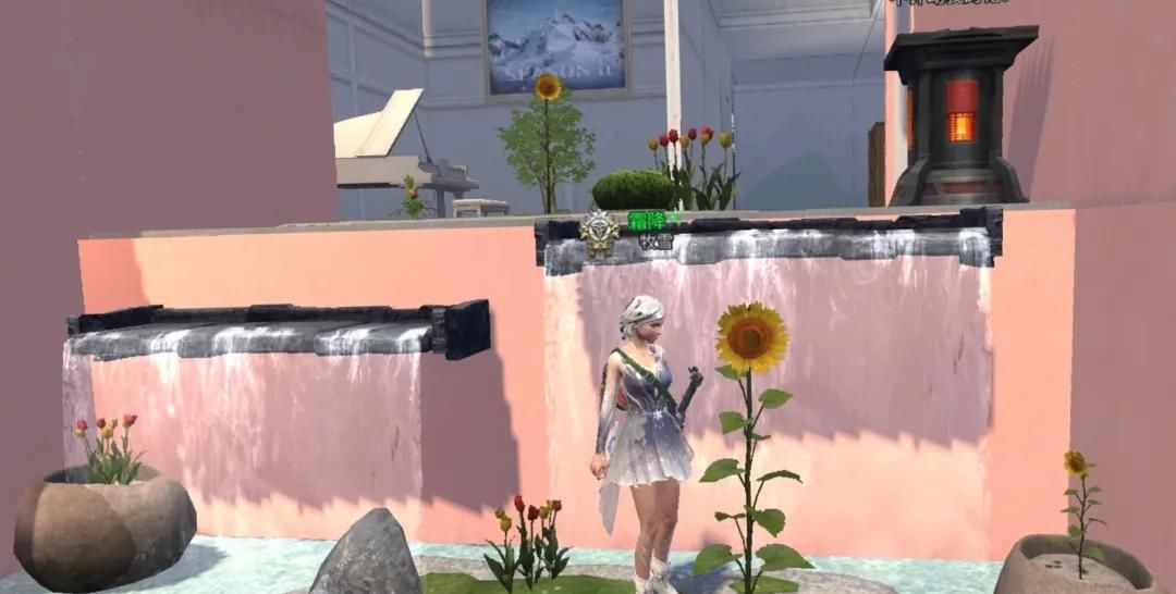  『幸存者们』明日之后：室内植物“长寿”，原来要靠这几步！