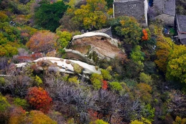 最美不过华山秋~