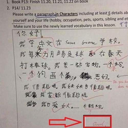赶快拿给爸妈看 外国人的中文作文 就不会说我学英语不努力了 雪花新闻