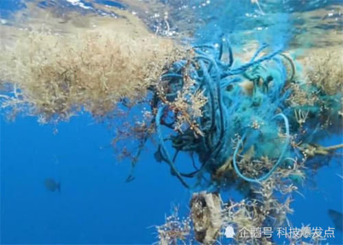 地球上最危险的海，透明度达72米，为什么无人敢踏足？