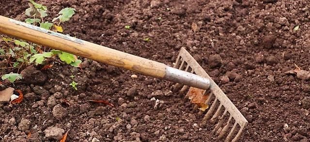  #补贴#2019粮食补贴标准出炉？两类人标准提高、三类农民不再有