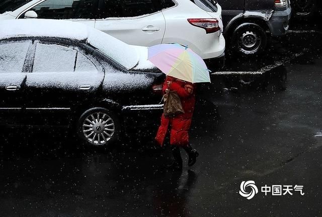  [谷雨]谷雨时节 哈尔滨主城区雪落街头