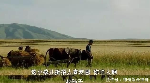 #吴先生#被票房打脸两次的国产“烂片”，治愈无数虚伪的成年人