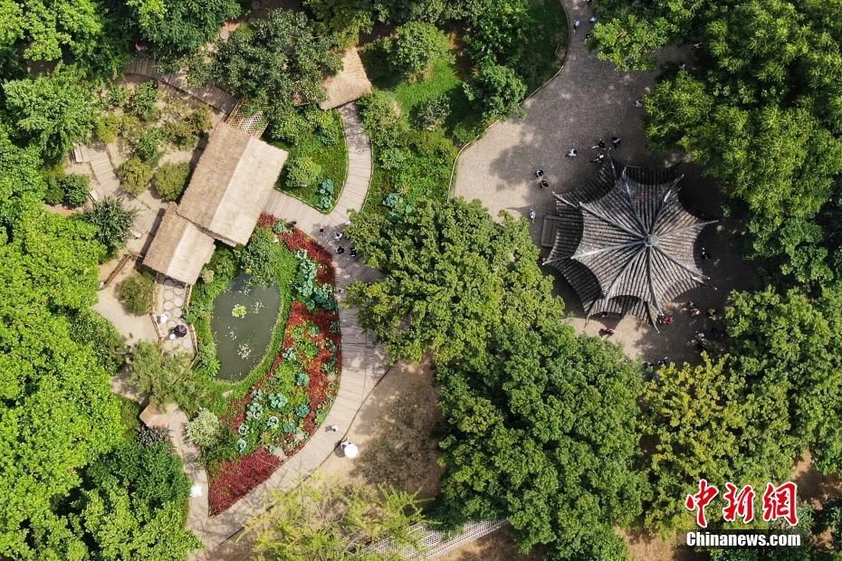 航拍中国四大名园之苏州拙政园 呈现浓郁江南特色