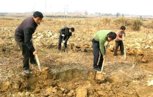  补贴：好消息！2019年农民不种地也能拿补贴了，最少拿1000元，