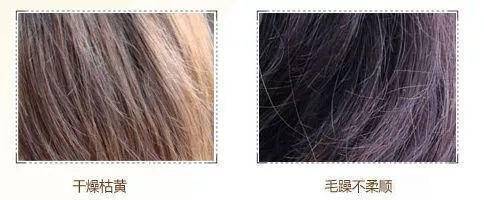 『护发』季节流转,春季护发要注意这几点