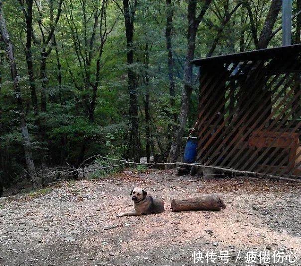 一组错觉照片证明眼见不一定为实！